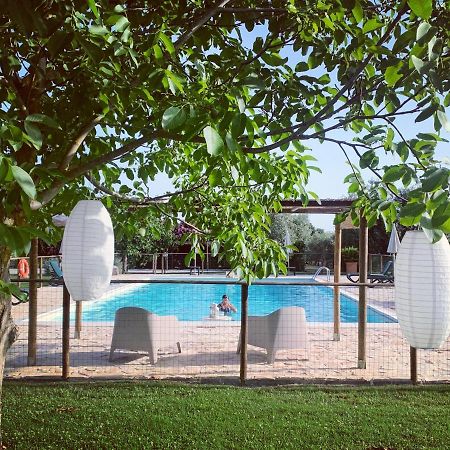 Agriturismo Il Puntoncino มาร์ซิลิอานา ภายนอก รูปภาพ