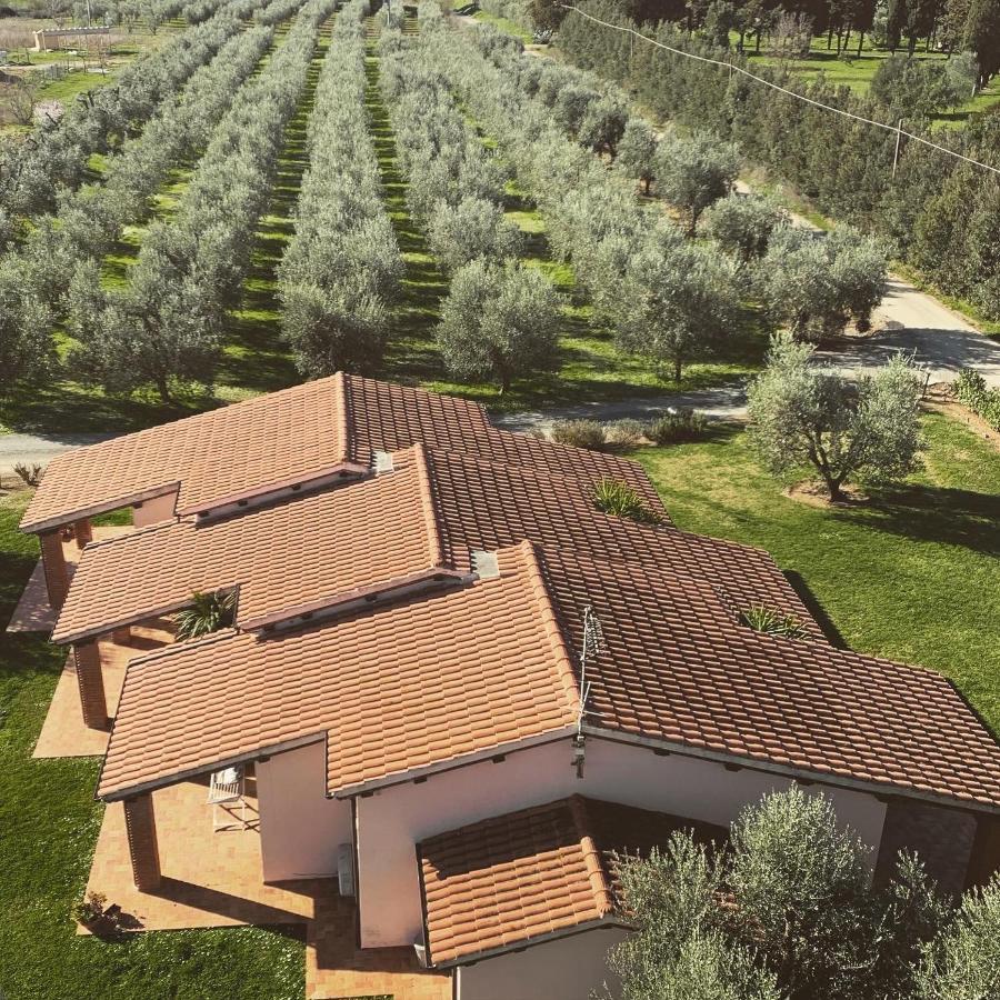 Agriturismo Il Puntoncino มาร์ซิลิอานา ภายนอก รูปภาพ