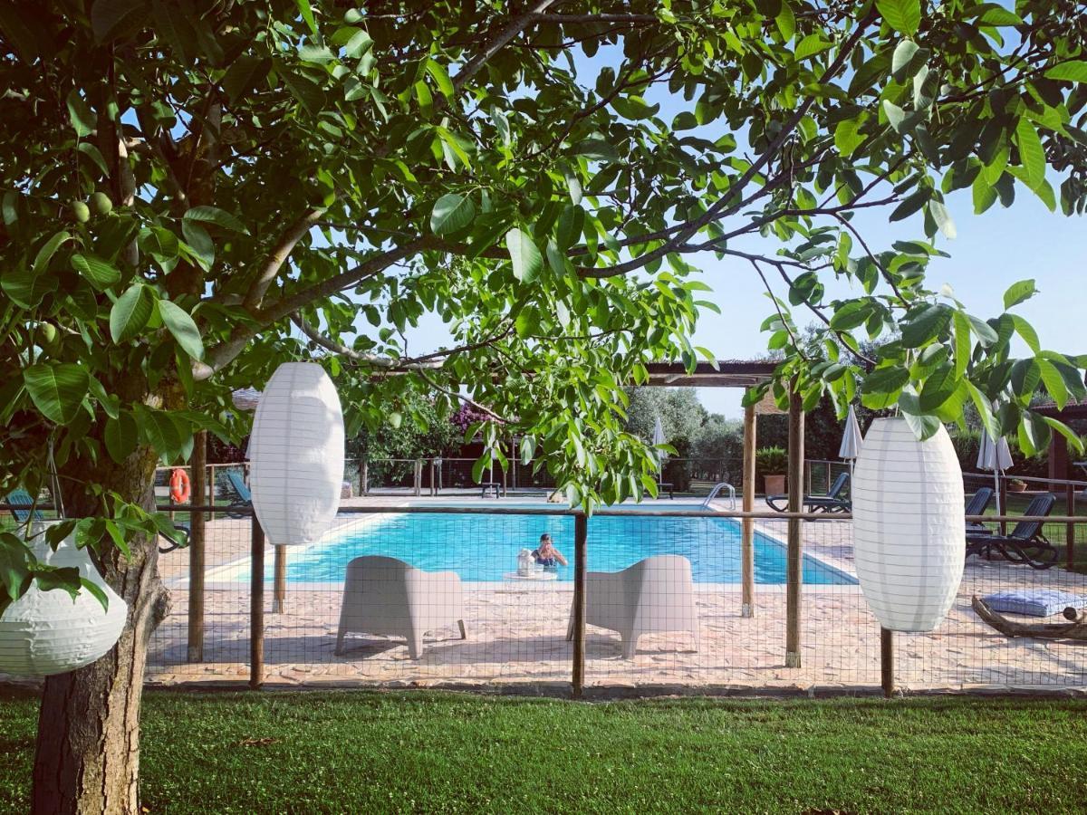 Agriturismo Il Puntoncino มาร์ซิลิอานา ภายนอก รูปภาพ
