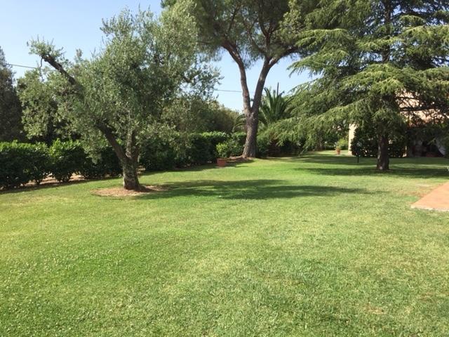 Agriturismo Il Puntoncino มาร์ซิลิอานา ภายนอก รูปภาพ