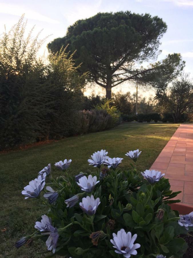 Agriturismo Il Puntoncino มาร์ซิลิอานา ภายนอก รูปภาพ