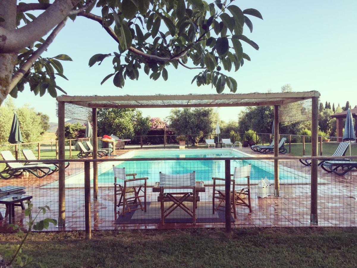Agriturismo Il Puntoncino มาร์ซิลิอานา ภายนอก รูปภาพ